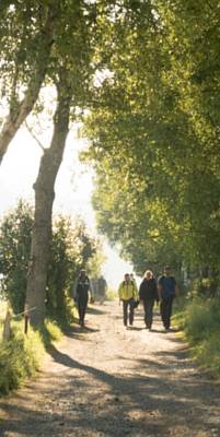 Walking the Camino Frances - French Way.jpg